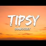 Shaboozey - A Bar Song Mp3 Free Download